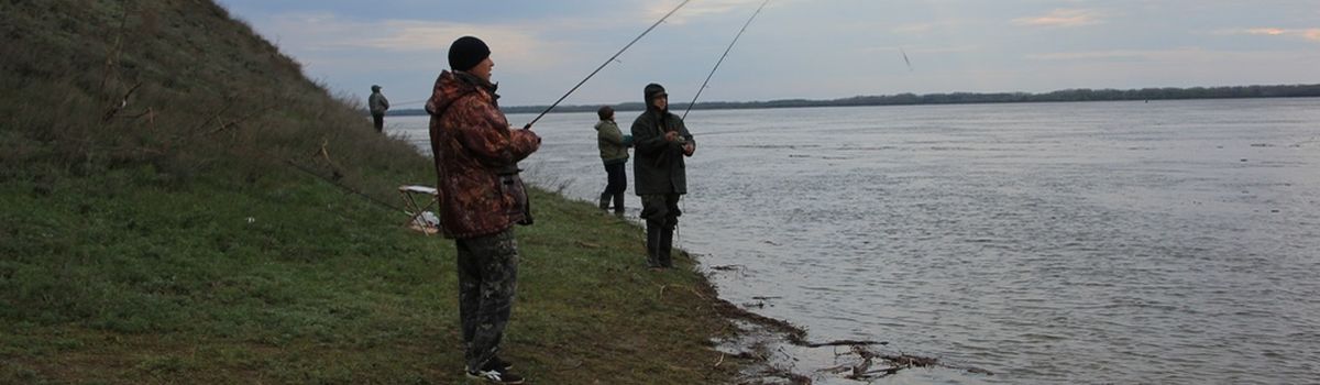 Рыбалка на волге саратовская область