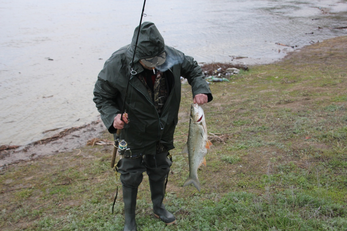 Рыбачить канале. Рыбалка в Саратове на Волге. Рыбалка с берега в Волге Саратовская область. Рыбаки на Волге. Рыбака на реке Волге.